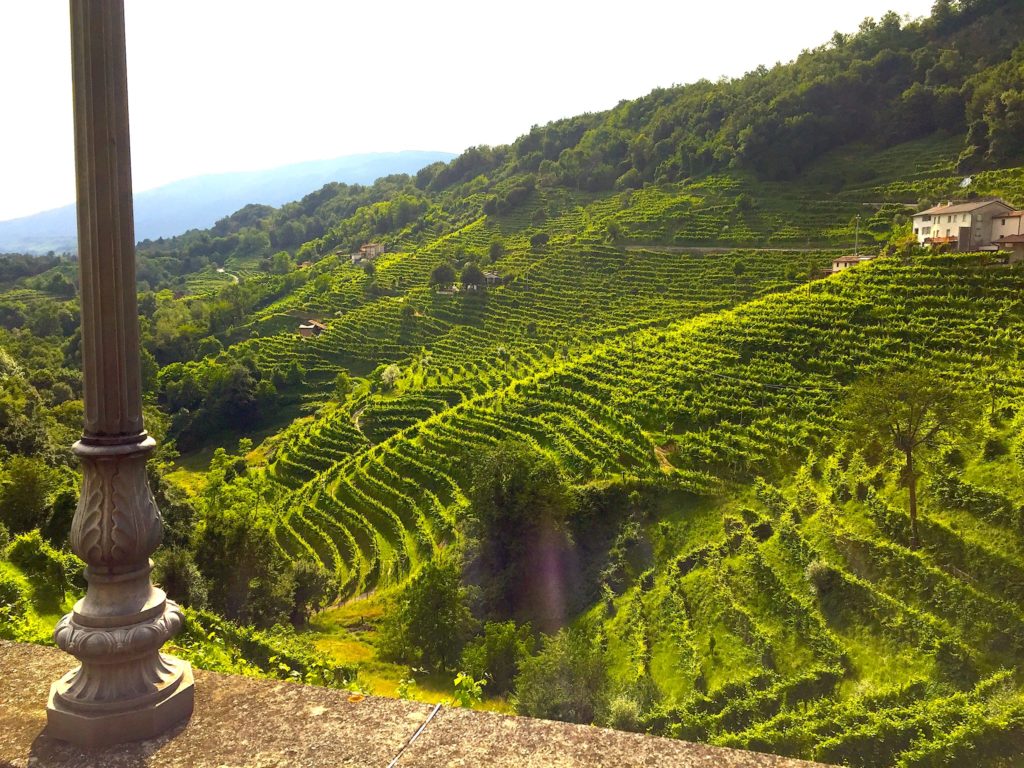 Prosecco-Hügel von Coneglanio-Valdobbiadene 